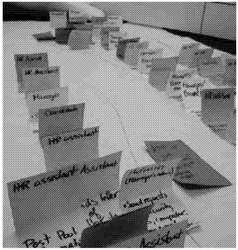 A set of Post-It notes on a table, with various actors written on them in Sharpie.